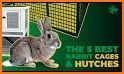 Hutch - Rabbit Records related image