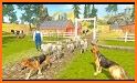 Shepherd Dog Simulator 3D-Offline Wild Animal Game related image