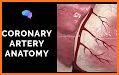 Anatomist - Anatomy Quiz Game related image