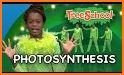 Photosynthesis related image