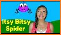 Itsy Bitsy Spider related image