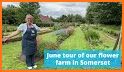 Flower Grower related image