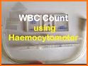 HemaCount: white blood cell counter, hemogram file related image