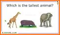 Kids Quiz - Free Educational Game (offline) related image