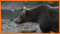 EcoGuide: Russian Wild Mammals related image