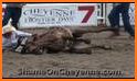 Angry Bull Attack – Cowboy Racing related image
