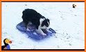 Girl on a sled. Snow slides. related image