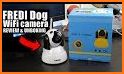 Dog Monitor: Puppy video cam related image