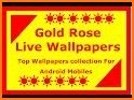 Gold rose live wallpaper related image