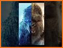 Gorilla Godzilla Vs King Kong related image