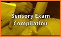 Sensory Sensation related image