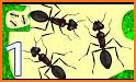 Ant Formicarium Simulator related image