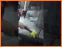 Grizzly Auto Detailing related image