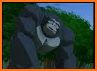 Jungle Kong related image