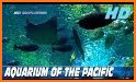 Aquarium Pacific related image