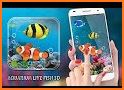Aquarium Fish Live Wallpaper : Fish Backgrounds HD related image