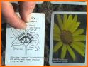 Botany - Botany App with Basic related image