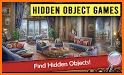 Hidden Object Games: WonderfulHome related image