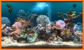 Screensaver - Dreamy Aquarium related image
