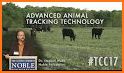 Prime Sheep Tracker related image