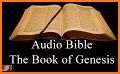 NIV Bible - Holy Bible (NIV) related image