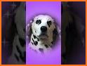 Cute 🐶 Puppy Corgi Keyboard Theme related image