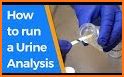 BK Urine Analysis related image