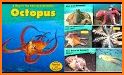 Octopus-Novels&Stories&eBooks related image