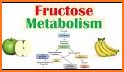 Biochemical metabolism related image