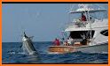 The Blue Marlin related image