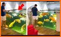 Fish Room - 3D Aquarium IDLE related image