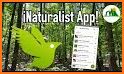 iNaturalist related image