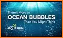 Bubbles at sea related image