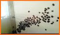 Insects Swarm related image