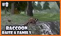 Raccoon Forest Wildlife Sim related image