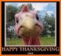 Thanksgiving Images and Photo related image
