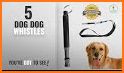 Dog Whistle - High Frequency Tone Dog Trainer related image