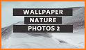 Nature Wallpapers And Photo Editor 2.O related image