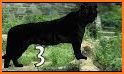 Life Of Black Tiger FREE related image