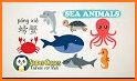 Sea Animals - DuDu Kids多多海洋动物 related image