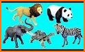 Animals puzzle related image
