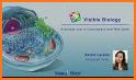 Visible Biology related image
