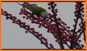 Parakeet Residential related image