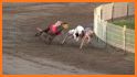 Pet Animal Racing Track related image