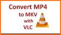 Video Converter - All Formats (MP4 AVI MOV MKV) related image