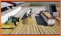 Big Farm related image