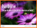 Bible Quotes HD Wallpaper related image