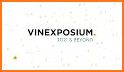 Vinexposium related image