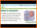 Kidney Stones (Oxalate) related image