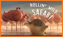 Rolling World related image